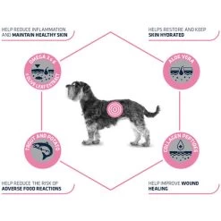 Affinity Advance Veterinary Diets Atopic Mini Hund -Hundebedarfsgeschäft affinity advance veterinary diets atopic mini hond 177538 0500 none