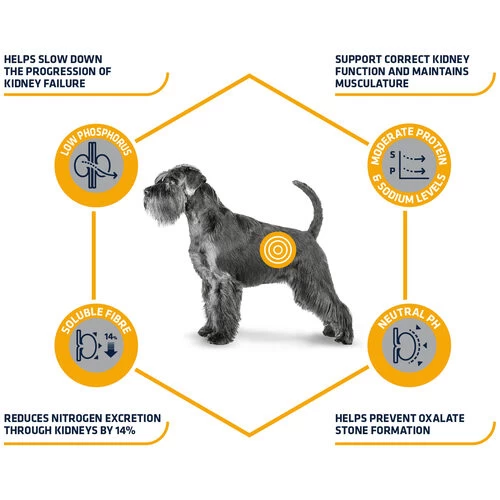 Affinity Advance Veterinary Diets Renal Hund 5 Affinity Advance Veterinary Diets Renal Hund – Bild 3