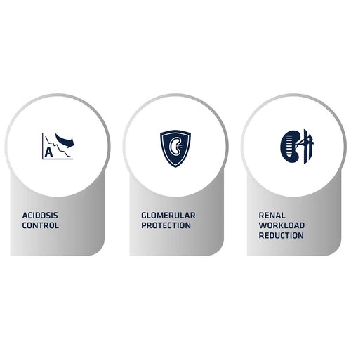 Affinity Advance Veterinary Diets Renal Hund 6 Affinity Advance Veterinary Diets Renal Hund – Bild 4