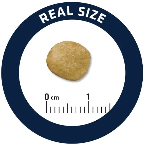 Affinity Advance Veterinary Diets Renal Hund 7 Affinity Advance Veterinary Diets Renal Hund – Bild 5