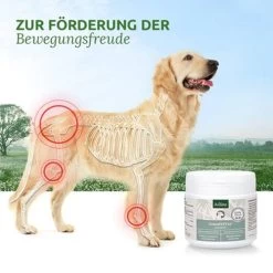 AniForte JointVETAL 3 -Hundebedarfsgeschäft aniforte jointvetal 3 220933 0500 none