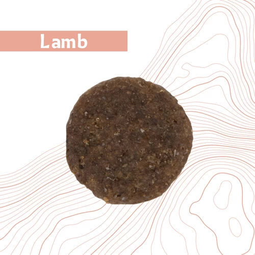 Antelope Fresh Adult Hundefutter 10 Antelope Fresh Adult Hundefutter – Bild 8