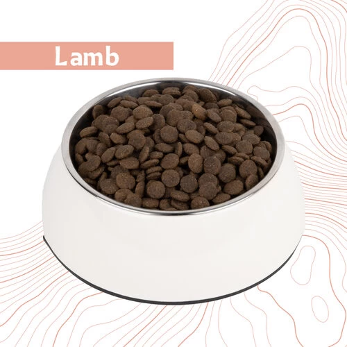 Antelope Fresh Adult Hundefutter 15 Antelope Fresh Adult Hundefutter – Bild 13