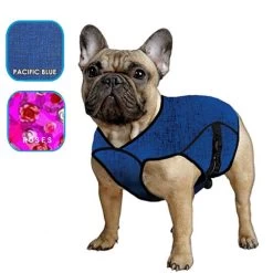 Aqua Coolkeeper Jacket -Hundebedarfsgeschäft aqua coolkeeper jacket 222227 0500 none