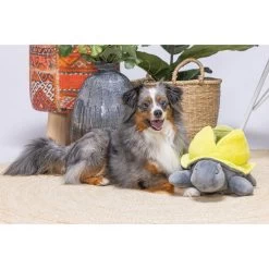 Beeztees Hide And Seek Schildo 8 Beeztees Hide And Seek Schildo -Hundebedarfsgeschäft beeztees hide and seek schildo 221787 0500 none