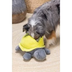 Beeztees Hide And Seek Schildo 9 Beeztees Hide And Seek Schildo -Hundebedarfsgeschäft beeztees hide and seek schildo 221788 0500 none