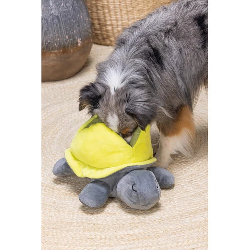 Beeztees Hide And Seek Schildo 6 Beeztees Hide And Seek Schildo – Bild 4