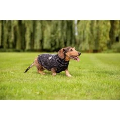 Beeztees Hundepullover Celia -Hundebedarfsgeschäft beeztees hondentrui celia 219140 0500 none
