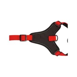 Beeztees Parinca Premium Y-Geschirr -Hundebedarfsgeschäft beeztees parinca premium y tuig 199589 0500 none