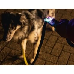 Beeztees Safety Gear Parinca Premium Hundeleine 14 Beeztees Safety Gear Parinca Premium Hundeleine -Hundebedarfsgeschäft beeztees safety gear parinca premium hondenriem 215036 0500 none