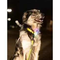 Beeztees Safety Gear Parinca Premium Hundeleine 15 Beeztees Safety Gear Parinca Premium Hundeleine -Hundebedarfsgeschäft beeztees safety gear parinca premium hondenriem 215039 0500 none