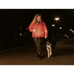 Beeztees Safety Gear Parinca Premium Hundeleine 17 Beeztees Safety Gear Parinca Premium Hundeleine -Hundebedarfsgeschäft beeztees safety gear parinca premium hondenriem 215042 0500 none