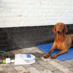 Beeztees Splashy Water Fountain -Hundebedarfsgeschäft beeztees splashy waterfontein 163285 0500 none