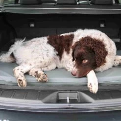 Bia Original Matratze Schwarz -Hundebedarfsgeschäft bia original matras zwart 164062 0500 none