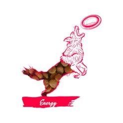 Calibra Dog Expert Nutrition Energy -Hundebedarfsgeschäft calibra dog expert nutrition energy 163534 0500 none