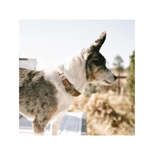 Carhartt Journeyman Collar 4 Carhartt Journeyman Collar – Bild 2