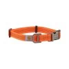 Carhartt Tradesman Hundehalsband 2 Carhartt Tradesman Hundehalsband -Hundebedarfsgeschäft carhartt tradesman dog collar 186577 0500 none