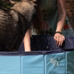 CoolPets Hundepool -Hundebedarfsgeschäft coolpets zwembad 198134 0500 none