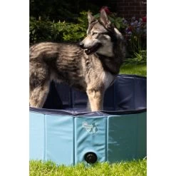CoolPets Hundepool -Hundebedarfsgeschäft coolpets zwembad 198140 0500 none