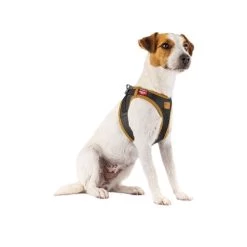 Curli Vegan Apple Leather Geschirr 9 Curli Vegan Apple Leather Geschirr -Hundebedarfsgeschäft curli harnas vegan appelleer 216631 0500 none