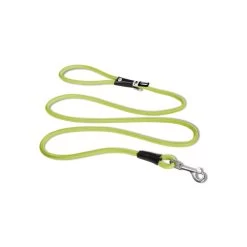 Curli Stretch Comfort Leine -Hundebedarfsgeschäft curli stretch comfort leash 219163 0500 none
