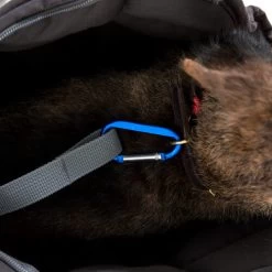 Doctor Bark Hundetragetasche -Hundebedarfsgeschäft doctor bark honden draagtas 202157 0500 none