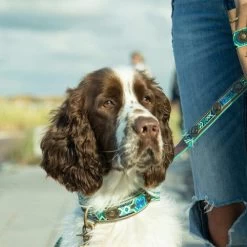 DWAM Halsband Boho Juan -Hundebedarfsgeschäft dwam halsband boho juan 133658 0500 none