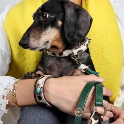 DWAM Halsband Ivy -Hundebedarfsgeschäft dwam halsband ivy 180688 0500 none