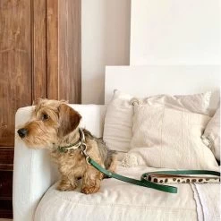 DWAM Hundeleine Ivy -Hundebedarfsgeschäft dwam hondenriem ivy 180700 0500 none