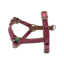 DWAM Hundegeschirr Lou Lou -Hundebedarfsgeschäft dwam hondentuigje lou lou 182155 0500 none