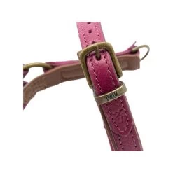 DWAM Hundegeschirr Lou Lou -Hundebedarfsgeschäft dwam hondentuigje lou lou 182158 0500 none