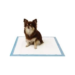 Easypets Trainingpads -Hundebedarfsgeschäft easypets trainingspads 184186 0500 none