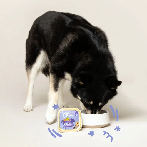 Edgard & Cooper Adult - Rind & Ente - Schälchen 4 Edgard & Cooper Adult - Rind & Ente - Schälchen – Bild 2