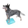 FitPAWS Balance Ramp -Hundebedarfsgeschäft fitpaws balance ramp 176140 0500 none