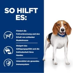 Hill's R/d Weight Reduction - Prescription Diet - Canine -Hundebedarfsgeschäft hills rd weight reduction prescription diet canine 218088 0500 none