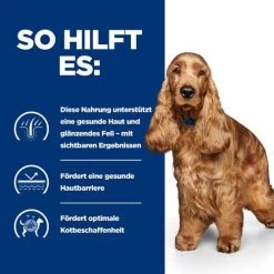 Hill's Z/d Food Sensitivities - Prescription Diet - Canine -Hundebedarfsgeschäft hills zd food sensitivities prescription diet canine 214331 0500 none