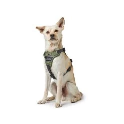 Hunter Geschirr Divo Dunkelblau/Grau -Hundebedarfsgeschäft hunter harnas divo donkerblauwgrijs 166891 0500 none