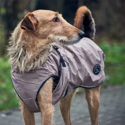 Hunter Hundemantel Uppsala -Hundebedarfsgeschäft hunter hondemantel uppsala taupe 165685 0500 none