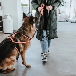 Hunter Sicherheitsgeschirr Maldon -Hundebedarfsgeschäft hunter veiligheidsharnas maldon 221557 0500 none