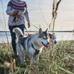 Hurtta - Geschirr Weekend Warrior Winter - Bilberry -Hundebedarfsgeschäft hurtta weekend warrior winter harnas bilberry 216605 0500 none