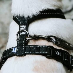 Hurtta Casual Harness