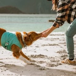 Hurtta Cooling Wrap - Hellblau -Hundebedarfsgeschäft hurtta cooling wrap lichtblauw 178456 0500 none