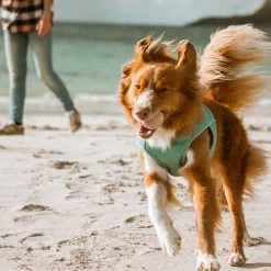 Hurtta Cooling Wrap - Hellblau -Hundebedarfsgeschäft hurtta cooling wrap lichtblauw 178465 0500 none