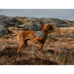 Hurtta Go Geschirr Storm Grey 9 Hurtta Go Geschirr Storm Grey -Hundebedarfsgeschäft hurtta go harness storm grey 201305 0500 none