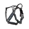 Hurtta Razzle Dazzle Y-Harness - Blackberry 1 Hurtta Razzle Dazzle Y-Harness - Blackberry -Hundebedarfsgeschäft hurtta razzle dazzle harness blackberry 175969 0500 none