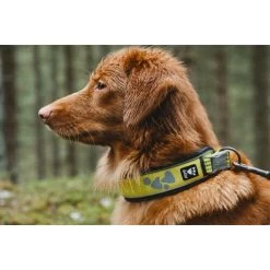 Hurtta Weekend Warrior Halsband -Hundebedarfsgeschäft hurtta weekend warrior collar 189090 0500 none