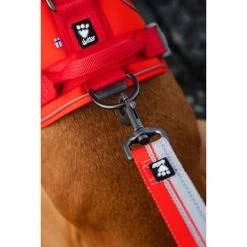 Hurtta Weekend Warrior Eco Geschirr -Hundebedarfsgeschäft hurtta weekend warrior eco harness 189129 0500 none