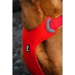 Hurtta Weekend Warrior Eco Geschirr -Hundebedarfsgeschäft hurtta weekend warrior eco harness 189136 0500 none