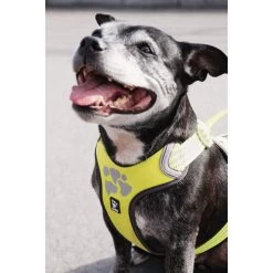 Hurtta Weekend Warrior Geschirr -Hundebedarfsgeschäft hurtta weekend warrior harness 189093 0500 none