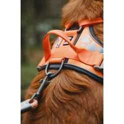 Hurtta Weekend Warrior Geschirr -Hundebedarfsgeschäft hurtta weekend warrior harness 189096 0500 none
